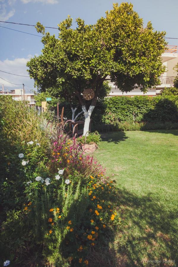 Small Guesthouse In The Garden Amarynthos Exterior foto