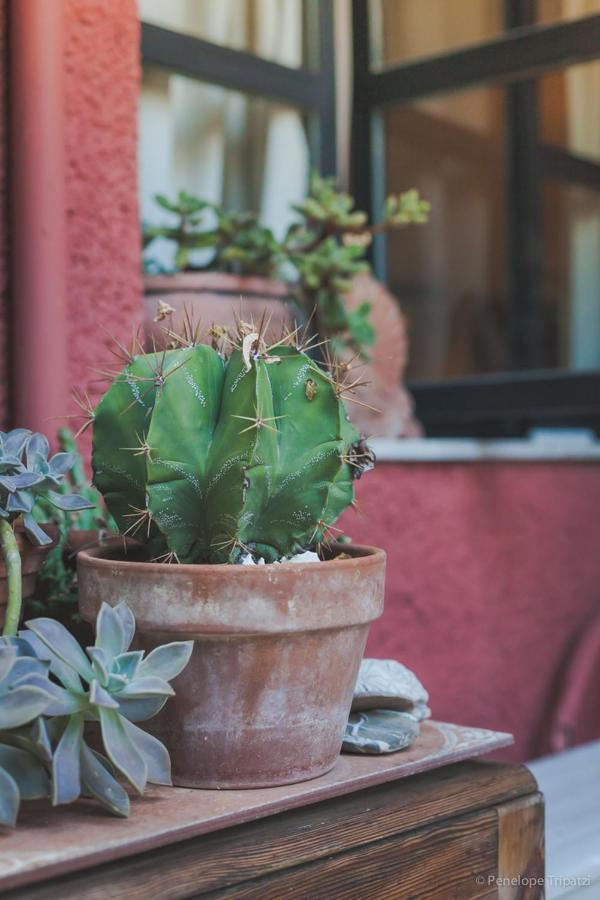 Small Guesthouse In The Garden Amarynthos Exterior foto